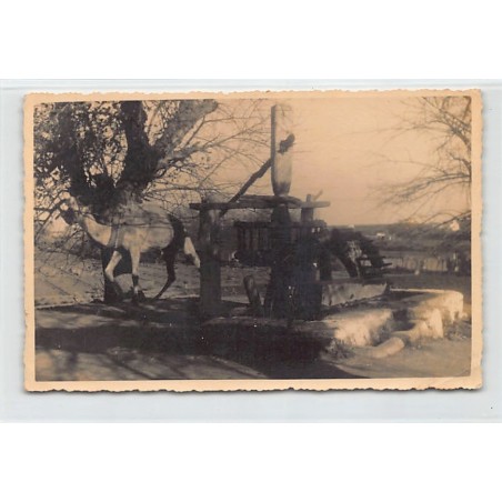 Rare collectable postcards of Tunisia. Vintage Postcards of Tunisia