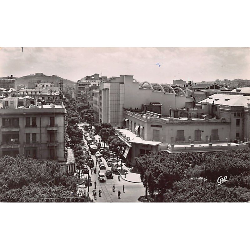 Rare collectable postcards of Tunisia. Vintage Postcards of Tunisia