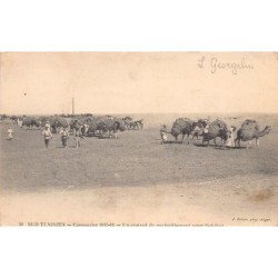 Rare collectable postcards of Tunisia. Vintage Postcards of Tunisia