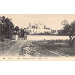 Rare collectable postcards of Tunisia. Vintage Postcards of Tunisia