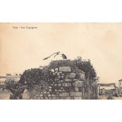 Rare collectable postcards of Tunisia. Vintage Postcards of Tunisia