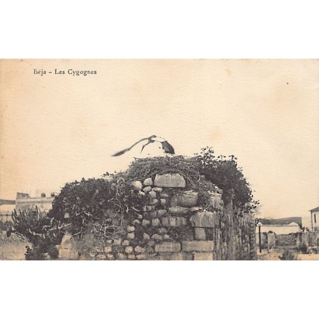 Rare collectable postcards of Tunisia. Vintage Postcards of Tunisia