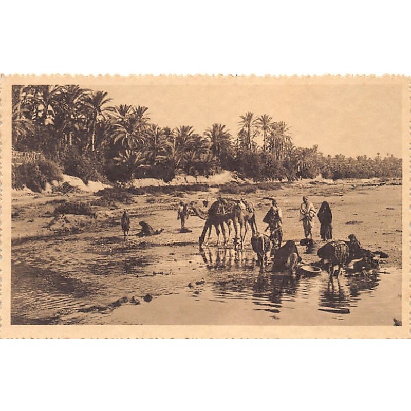 Rare collectable postcards of Tunisia. Vintage Postcards of Tunisia