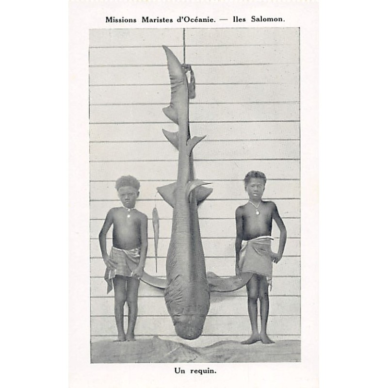 Rare collectable postcards of Solomon Islands. Vintage Postcards of Solomon Islands
