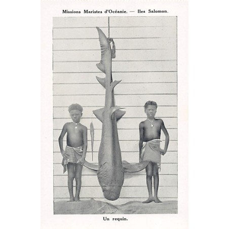 Rare collectable postcards of Solomon Islands. Vintage Postcards of Solomon Islands