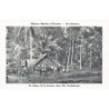 Rare collectable postcards of Solomon Islands. Vintage Postcards of Solomon Islands