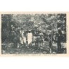 Rare collectable postcards of Vanuatu (New Hebrides). Vintage Postcards of Vanuatu (New Hebrides)