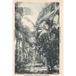 Rare collectable postcards of Vanuatu (New Hebrides). Vintage Postcards of Vanuatu (New Hebrides)