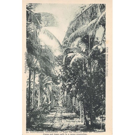 Rare collectable postcards of Vanuatu (New Hebrides). Vintage Postcards of Vanuatu (New Hebrides)