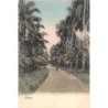 Rare collectable postcards of Samoa. Vintage Postcards of Samoa
