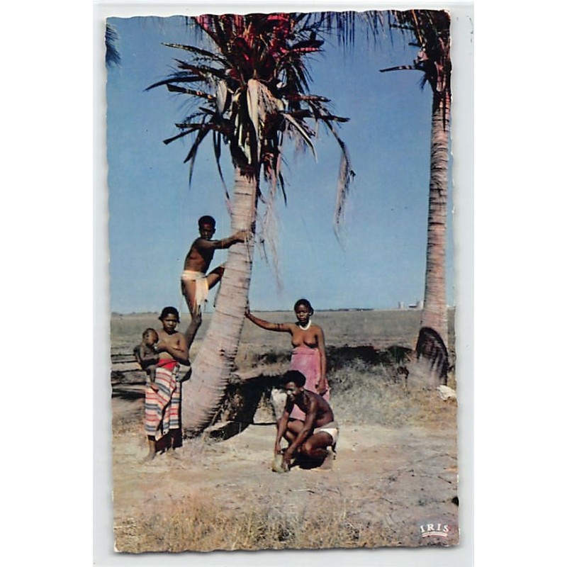 Rare collectable postcards of ETHNIC NUDE. Vintage Postcards of ETHNIC NUDE