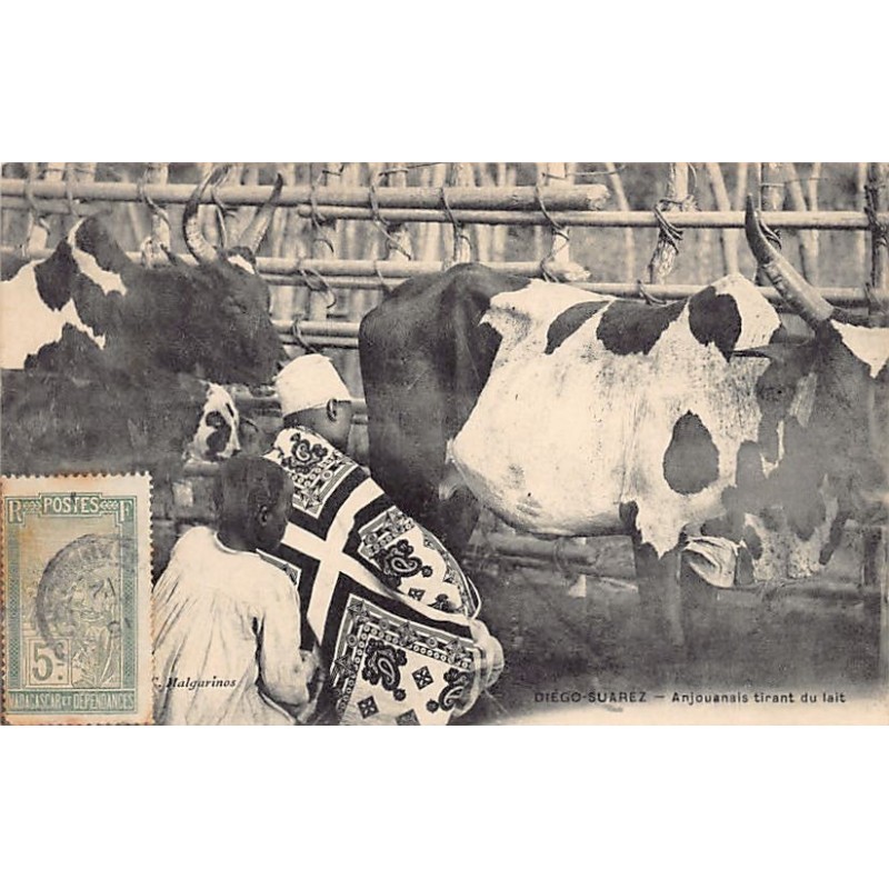 Rare collectable postcards of Comoros. Vintage Postcards of Comoros