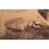Rare collectable postcards of Congo - Kinshasa (Zaire). Vintage Postcards of Congo - Kinshasa (Zaire)