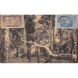 Rare collectable postcards of Congo - Kinshasa (Zaire). Vintage Postcards of Congo - Kinshasa (Zaire)