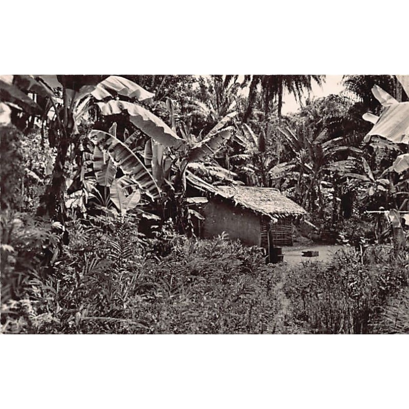 Rare collectable postcards of Ivory Coast - Côte d'Ivoire. Vintage Postcards of Ivory Coast - Côte d'Ivoire