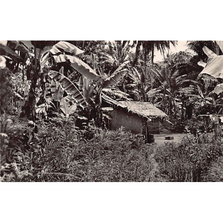 Rare collectable postcards of Ivory Coast - Côte d'Ivoire. Vintage Postcards of Ivory Coast - Côte d'Ivoire