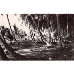 Rare collectable postcards of Ivory Coast - Côte d'Ivoire. Vintage Postcards of Ivory Coast - Côte d'Ivoire