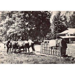 Rare collectable postcards of Zambia. Vintage Postcards of Zambia