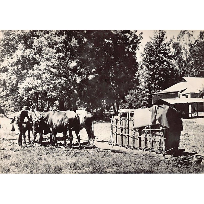 Rare collectable postcards of Zambia. Vintage Postcards of Zambia