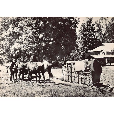 Rare collectable postcards of Zambia. Vintage Postcards of Zambia