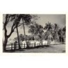 Rare collectable postcards of Cambodia. Vintage Postcards of Cambodia