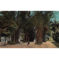 Rare collectable postcards of Brazil. Vintage Postcards of Brazil