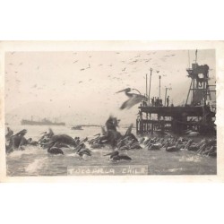 Rare collectable postcards of Chile. Vintage Postcards of Chile