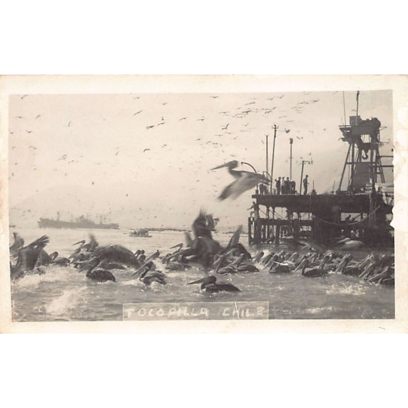 Rare collectable postcards of Chile. Vintage Postcards of Chile