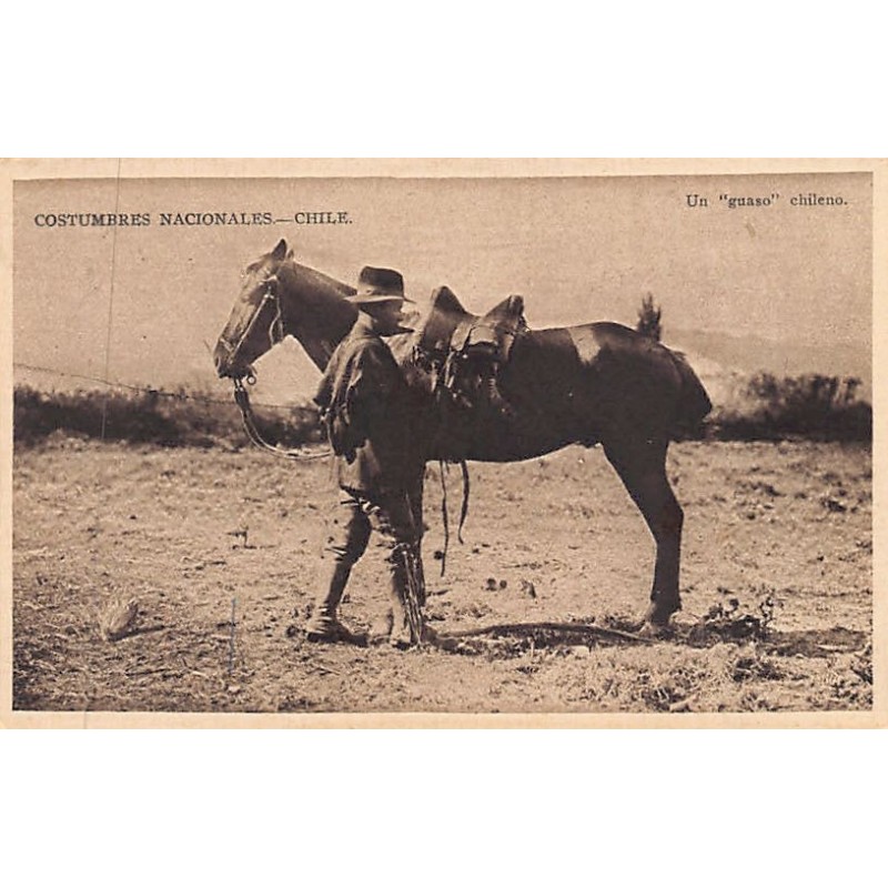 Rare collectable postcards of Chile. Vintage Postcards of Chile