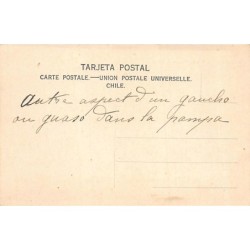 Rare collectable postcards of Chile. Vintage Postcards of Chile