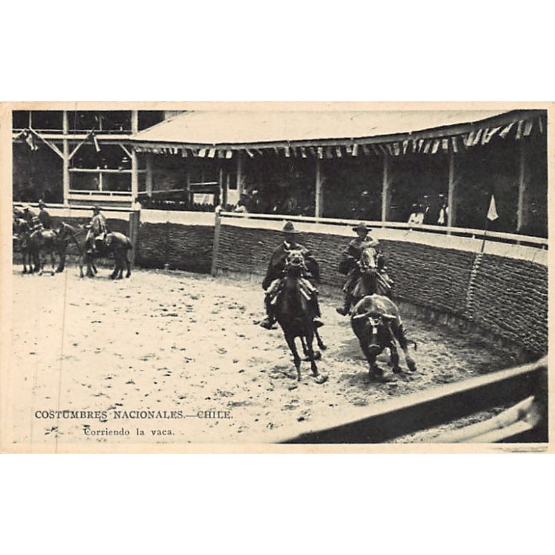 Rare collectable postcards of Chile. Vintage Postcards of Chile