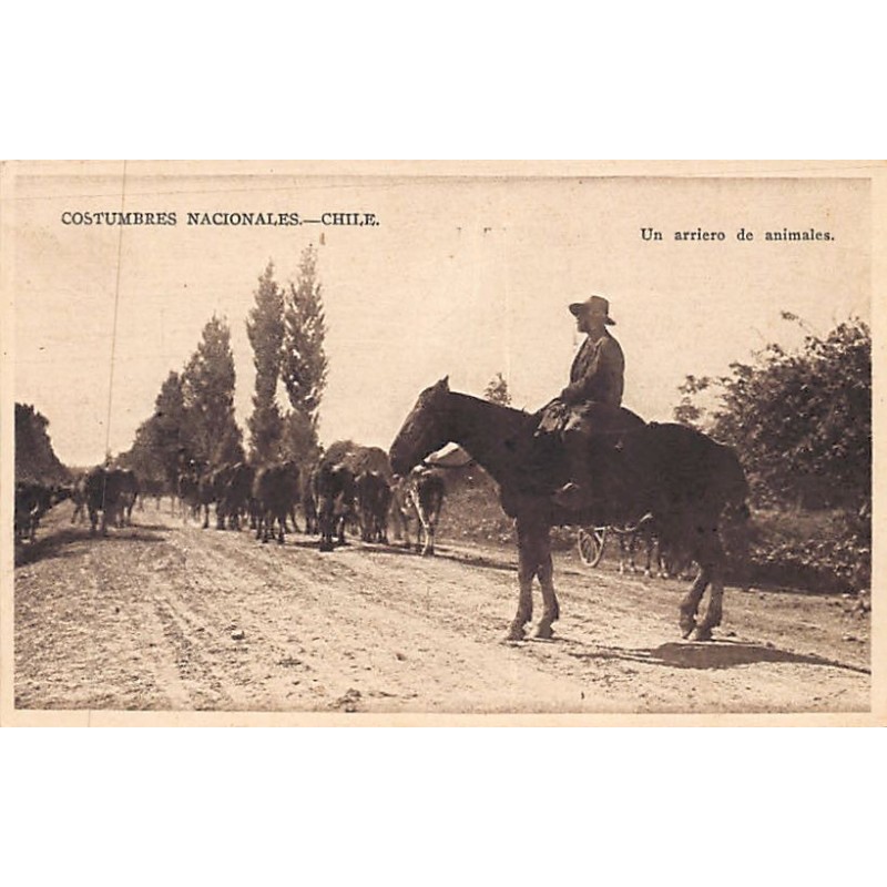 Rare collectable postcards of Chile. Vintage Postcards of Chile