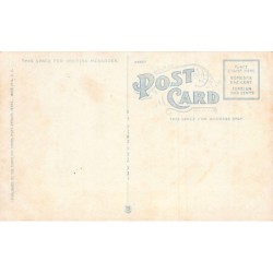 Rare collectable postcards of United States. Vintage Postcards of United States