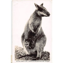Rare collectable postcards of Australia. Vintage Postcards of Australia