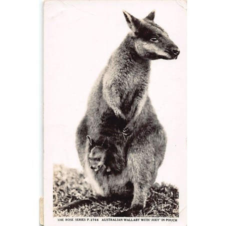 Rare collectable postcards of Australia. Vintage Postcards of Australia