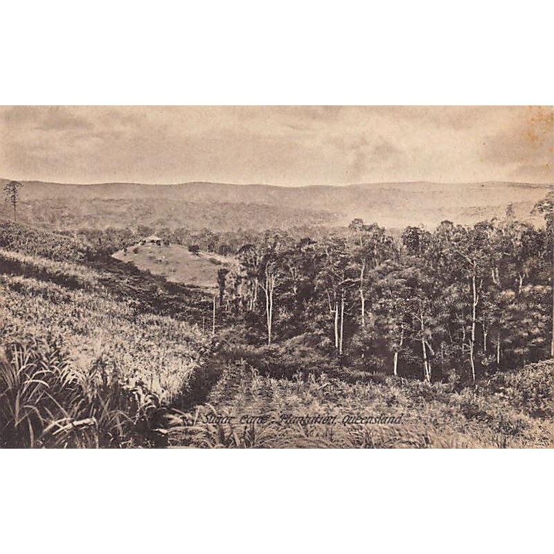 Rare collectable postcards of Australia. Vintage Postcards of Australia