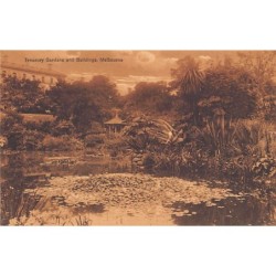 Rare collectable postcards of Australia. Vintage Postcards of Australia