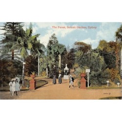 Rare collectable postcards of Australia. Vintage Postcards of Australia