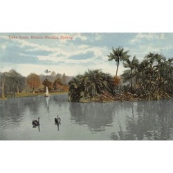 Rare collectable postcards of Australia. Vintage Postcards of Australia