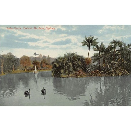 Rare collectable postcards of Australia. Vintage Postcards of Australia