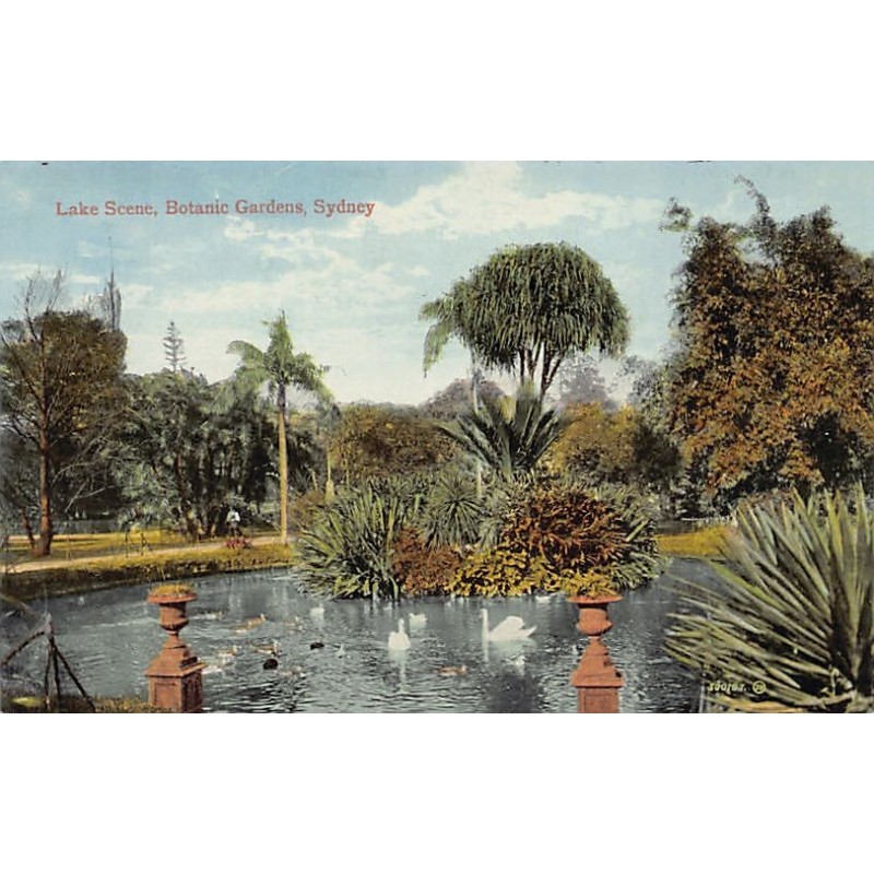 Rare collectable postcards of Australia. Vintage Postcards of Australia