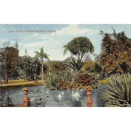 Rare collectable postcards of Australia. Vintage Postcards of Australia