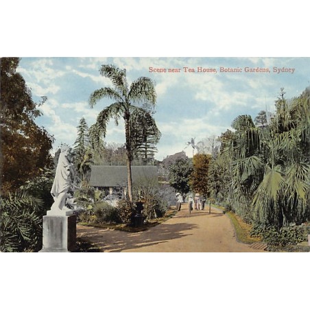 Rare collectable postcards of Australia. Vintage Postcards of Australia