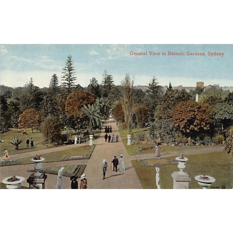 Rare collectable postcards of Australia. Vintage Postcards of Australia