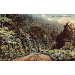 Rare collectable postcards of Australia. Vintage Postcards of Australia