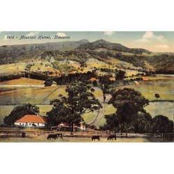 Rare collectable postcards of Australia. Vintage Postcards of Australia
