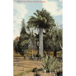 Rare collectable postcards of Australia. Vintage Postcards of Australia