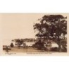 Rare collectable postcards of Australia. Vintage Postcards of Australia