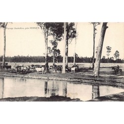 Rare collectable postcards of Australia. Vintage Postcards of Australia