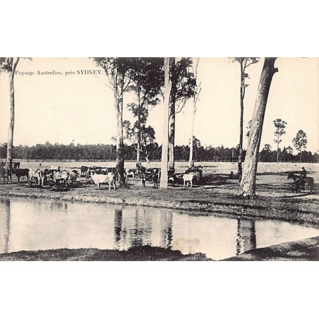 Rare collectable postcards of Australia. Vintage Postcards of Australia